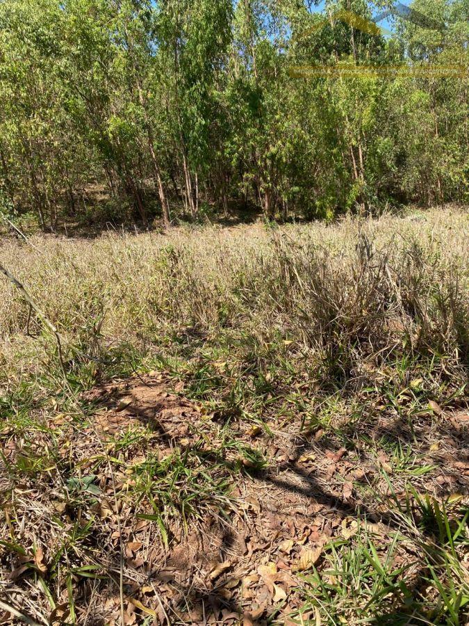 WhatsApp Image 2025-09-12 at 11.33.23 (4).jpeg